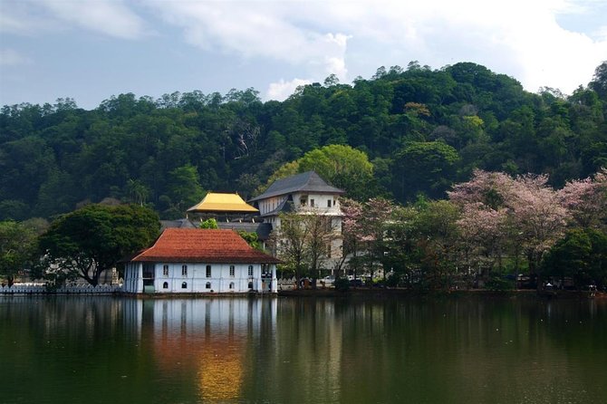 Kandy City Tour From Colombo - Tour Highlights