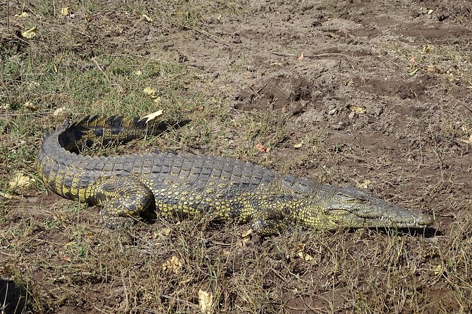 Kanzwa Short Holiday Break -2 Nights Safari Kafue National Park Central Region - Schedule and Availability
