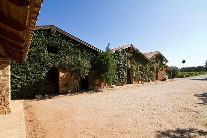 Katakolon Shore Excursion: Private Wine-Tasting Tour of Mercouri Estate Winery - Meeting and Pickup Information