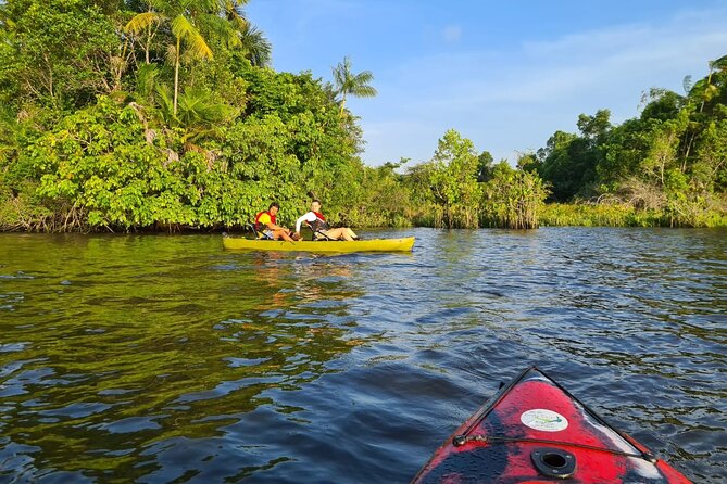KAYAK RENT Down the Preguiças River 2 Days by Costa Leste - Whats Included in the Rental