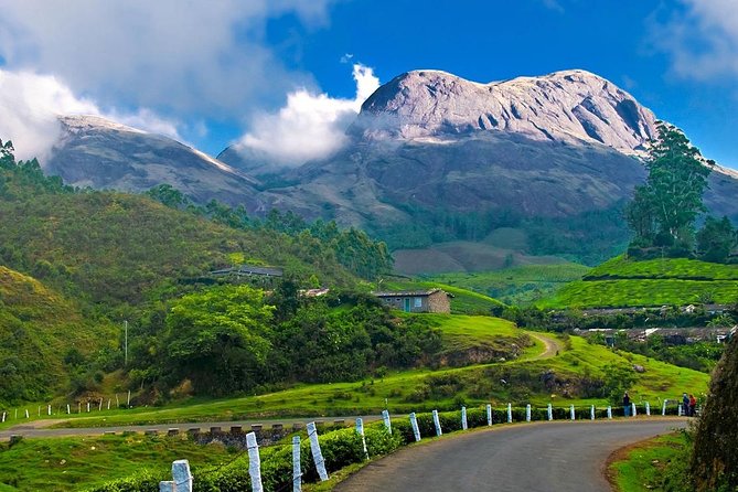 Kerala Luxury Tour From Cochin - 7 Days (Hotel, Houseboat & Transportation) - Tour Itinerary Overview