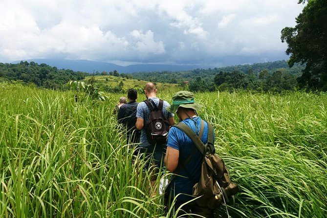 Khao Yai National Park - Haew Suwat Waterfall - Jungle Hiking to KM 33 Nong Pak Chi - Tour Highlights
