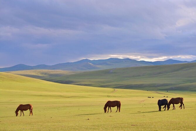 Kharkhorum Khustai Mini Gobi and Ger Camp 4 Day Tour - Accommodation Details