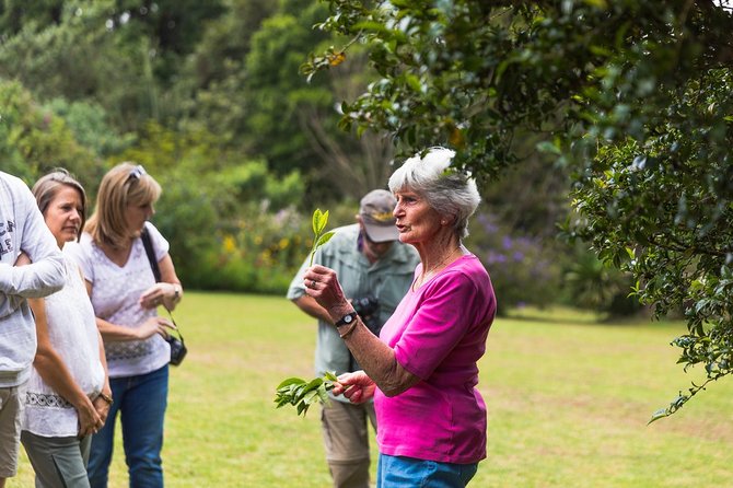 Kiambethu Tea Farm Tour From Nairobi With Lunch - Transportation Details