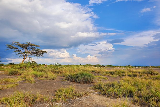 Kikuletwa Hot Springs - Start Time and Operating Hours