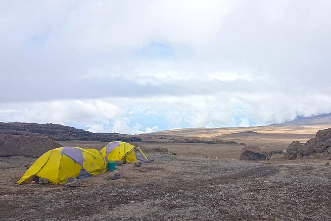Kilimanjaro Classic Climb via Marangu Route- 8 Days - Day 2: Marangu Gate to Mandara Hut