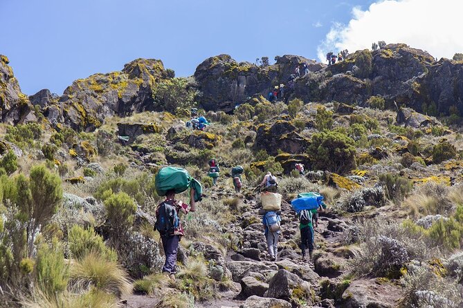 Kilimanjaro Climbing Via Machame Route 6 Days