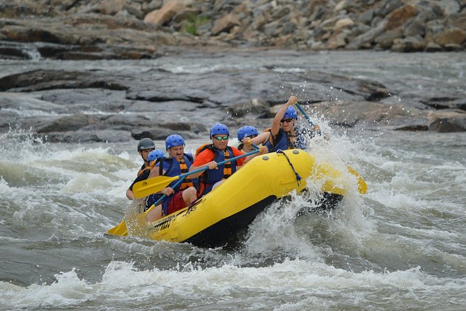 Kithulgala White Water Rafting Adventure - Activity Overview