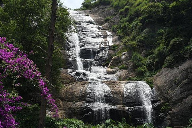 Kodaikanal Sightseeing Tour Package 3 Days & 2 Night - Accommodation and Meals