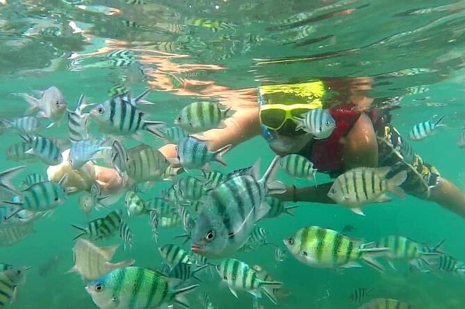 Koh Phangan Snorkelling Cruise With Sunset - Meeting and Pickup Details
