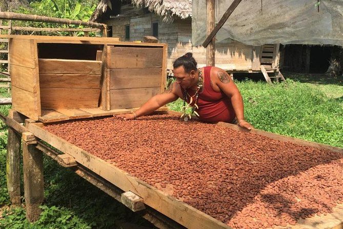 Kombi Tour Volio Waterfall and Chocolate Factory - Pickup Information