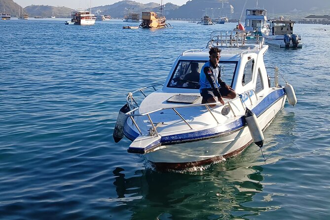 Komodo Day Private Speedboat Tour - Tour Details
