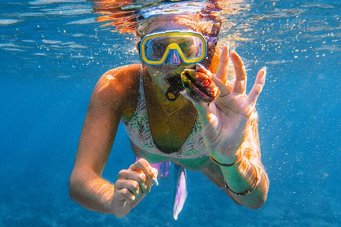 Komodo Day Tour to Explore 5 Islands and 3 Snorkeling Experience - Itinerary Overview