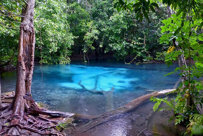 Krabi Jungle Tour:Hot Spring Waterfall,Emerald Pool & Tiger Cave - Inclusions and Exclusions