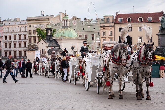 Krakow Old Town Private Walking Tour - Tour Details