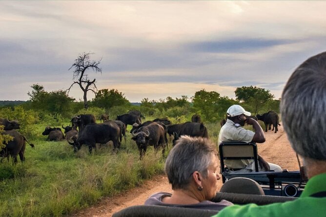 Kruger National Park 3 Day Private Safari From Johannesburg - Special Offer and Pricing