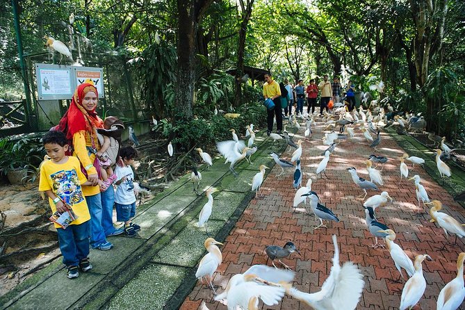 Kuala Lumpur Bird Park & Butterfly Farm Tour Include Tickets - Inclusions and Exclusions