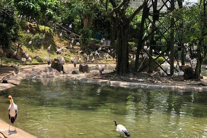 Kuala Lumpur Nature Tour- Butterfly Park, Orchid Garden, and Bird Park - Orchid Garden Highlights