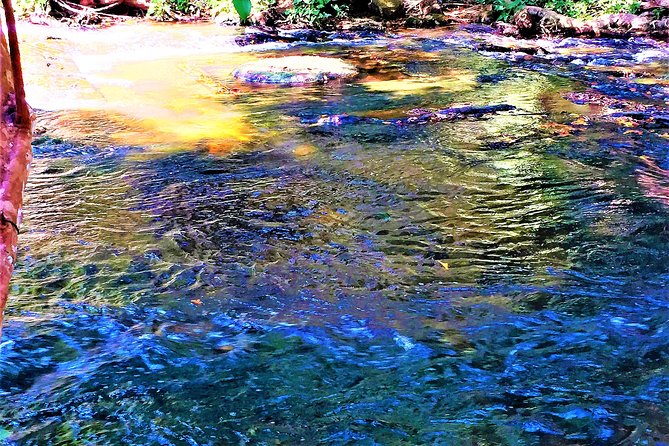 Kulen Deep Jungle Explorations Private Tour - Pickup Information