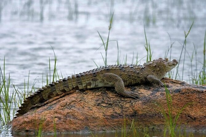 Kumana National Park Private Safari - Pickup Information