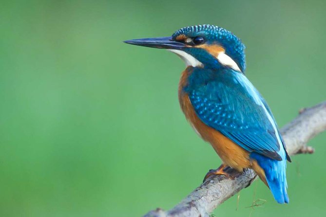 Lahugala Kitulana National Park Safari With Naturalist - Booking Process Overview