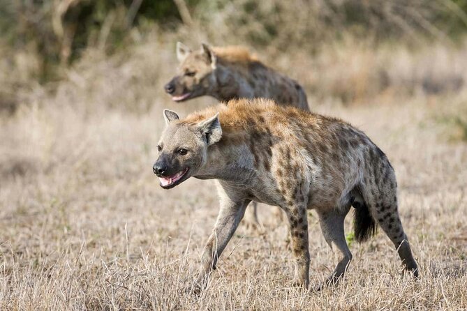 Lake Eyasi and Ngorongoro Crater Tour From Arusha