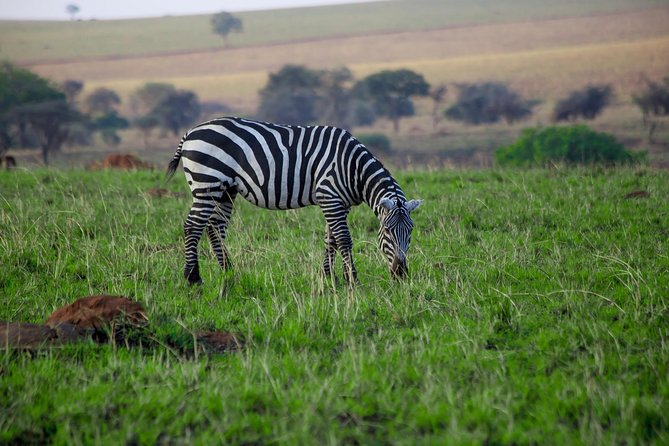 LAKE MBURO 2 Day Safari - Itinerary Highlights