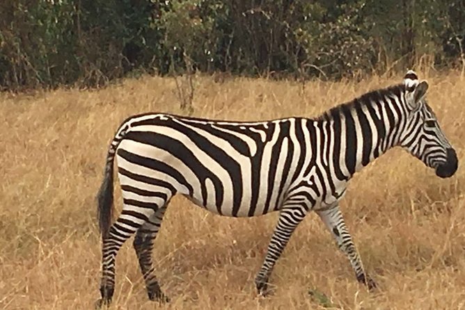 Lake Naivasha Full Day Tour With Boat Rides - Pickup and Departure