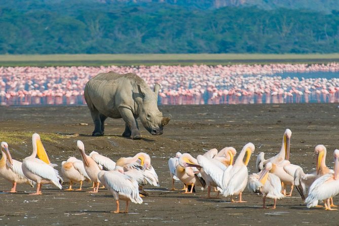 Lake Nakuru Day Trip