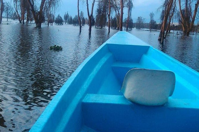 Lake Nakuru/ Naivasha Boat Ride Riftvalley Day Trip - Amenities Provided