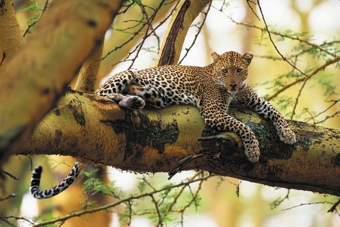 Lake Nakuru National Park Day Tour From Nairobi - Departure Details