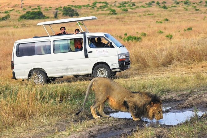 Lake Nakuru Tour With Optional Boat Ride at Lake Naivasha - Optional Boat Ride