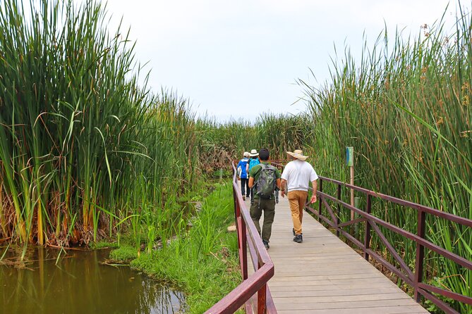 Last Little Wildlife Refuge in Lima - Wildlife Species Youll Encounter