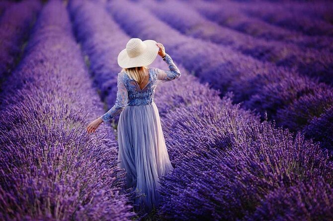 Lavender Fields Full Day Private Tour From Marseille - Cancellation Policy