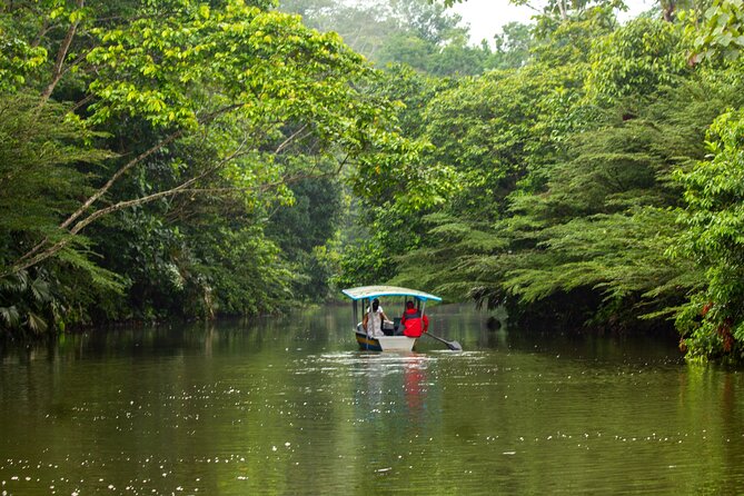 Let Me Show YOU: the Amazon & Baños City in 2 Days From Quito - Adventure Activities