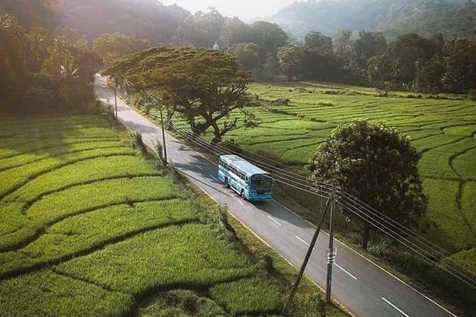 LION KING - Sinharaja Rain Forest Day Tour - Inclusions