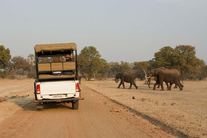Livingstone Game Drive In The Mosi-Oa-Tunya National Park