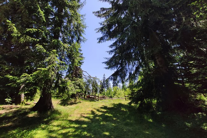 Local Adventures in the Rhodope Mountains - Culinary Delights of the Rhodope Region