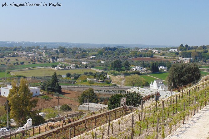 Locorotondo and Alberobello Half Day Tour With a Cheese Tasting - Tour Overview