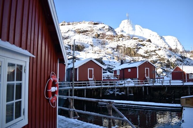 Lofoten PRIVATE Tour From Svolvaer - Large Group (5-8 Pax) - Features