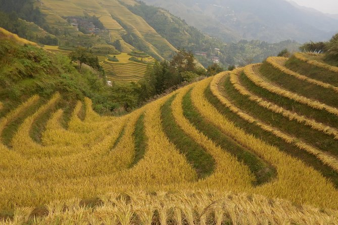 Longji Rice Terraces Day Tour With the Pingan and Dazhai Village