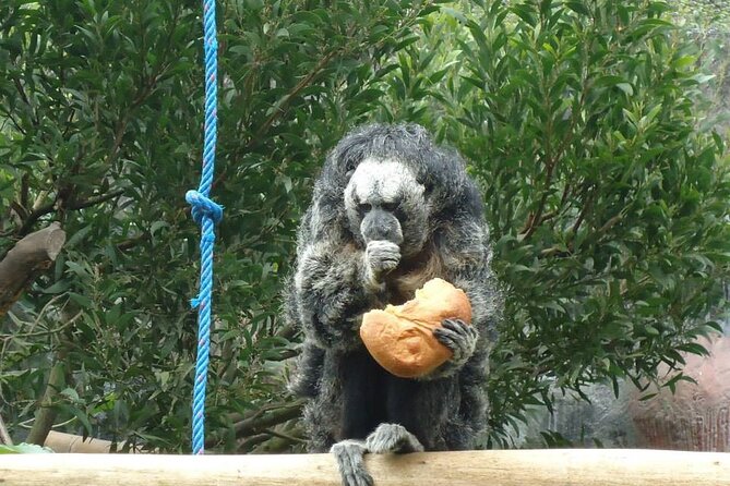 Loves Nest Viewpoint | La Tarqui Zoo | Puyo, Pastaza - Meeting Point Details