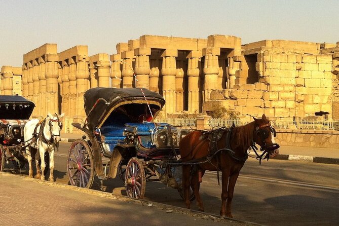 Luxor City Private Tour by Horse Carriage - Pickup Information