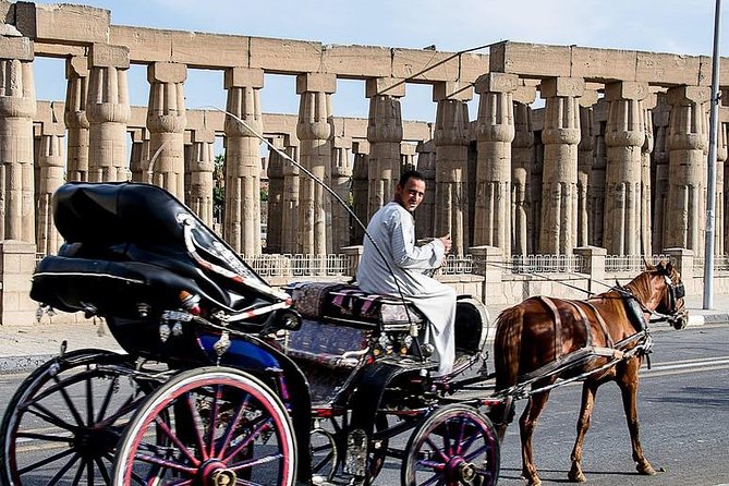 Luxor City Tour By Horse Carriage - Inclusions and Services