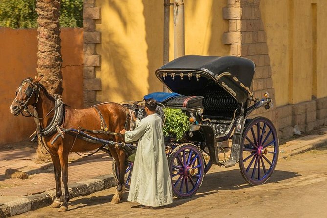 Luxor City Tour by Horse Carriage - Pricing and Group Options