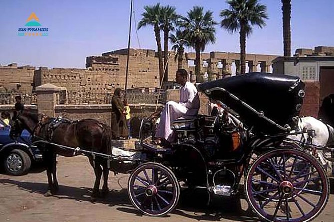 Luxor City Tour By Horse Carriage in Egypt - Private Horse Carriage Exploration Experience
