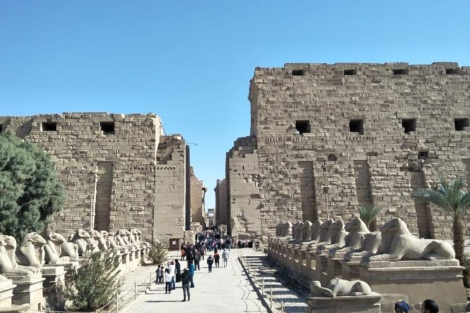 Luxor East Bank Guided Tour , Karnak and Luxor Temples - Tour Overview
