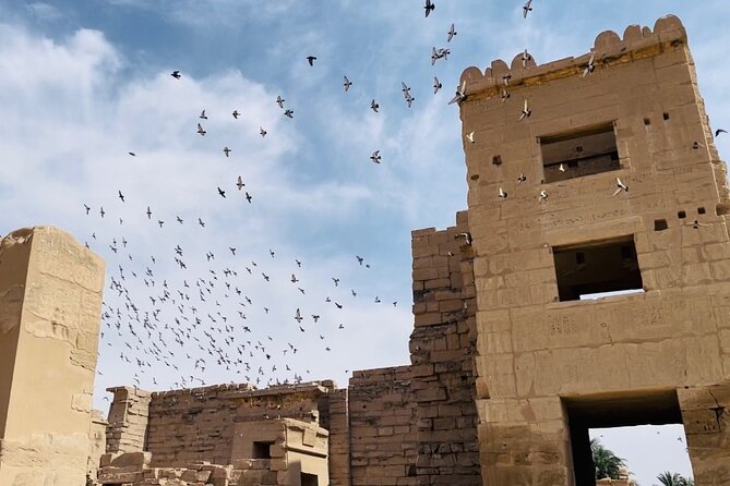 Luxor Half-Day:Valley of the Queens&Habu Temple &Workers Tombs - Tour Highlights