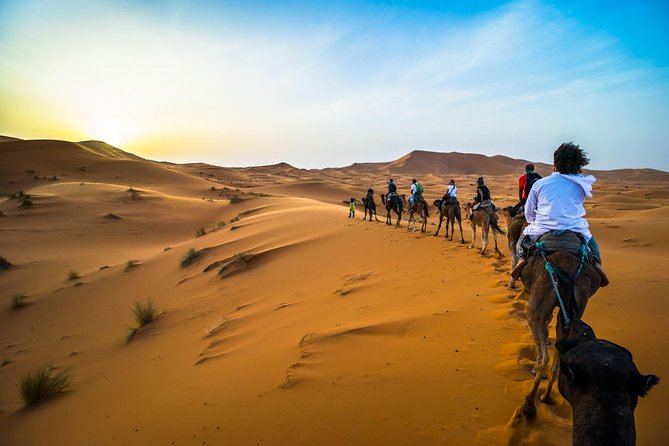 Luxury 3-Day Desert Tour From Marrakech to Fes - Transportation Details