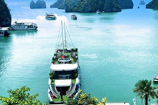 Luxury Day Cruise Halong Bay and Lan Ha Bay With Full Activities